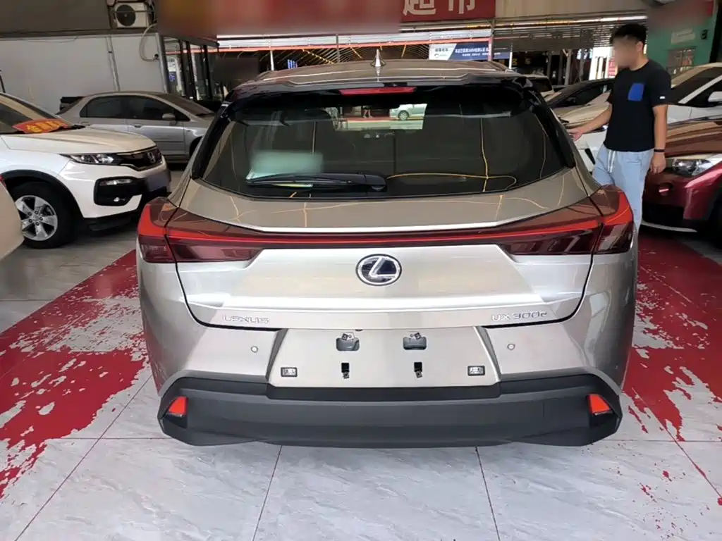 Lexus UX Electric 2022 2020 300e Pure Yue Edition