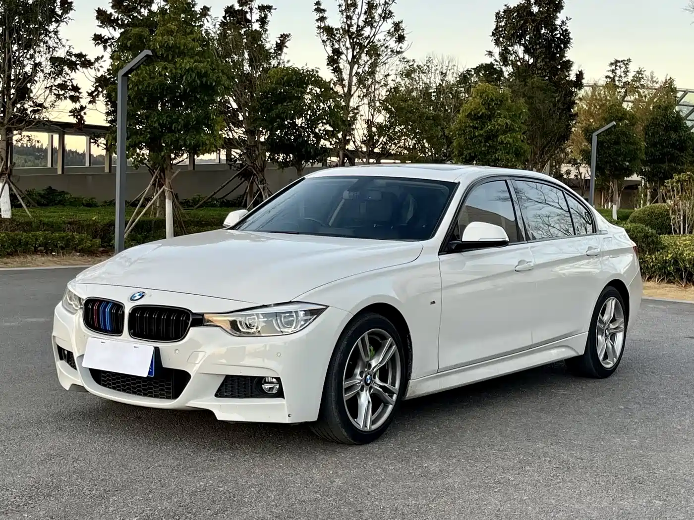 BMW 3 Series 2019 320Li M Sport Package