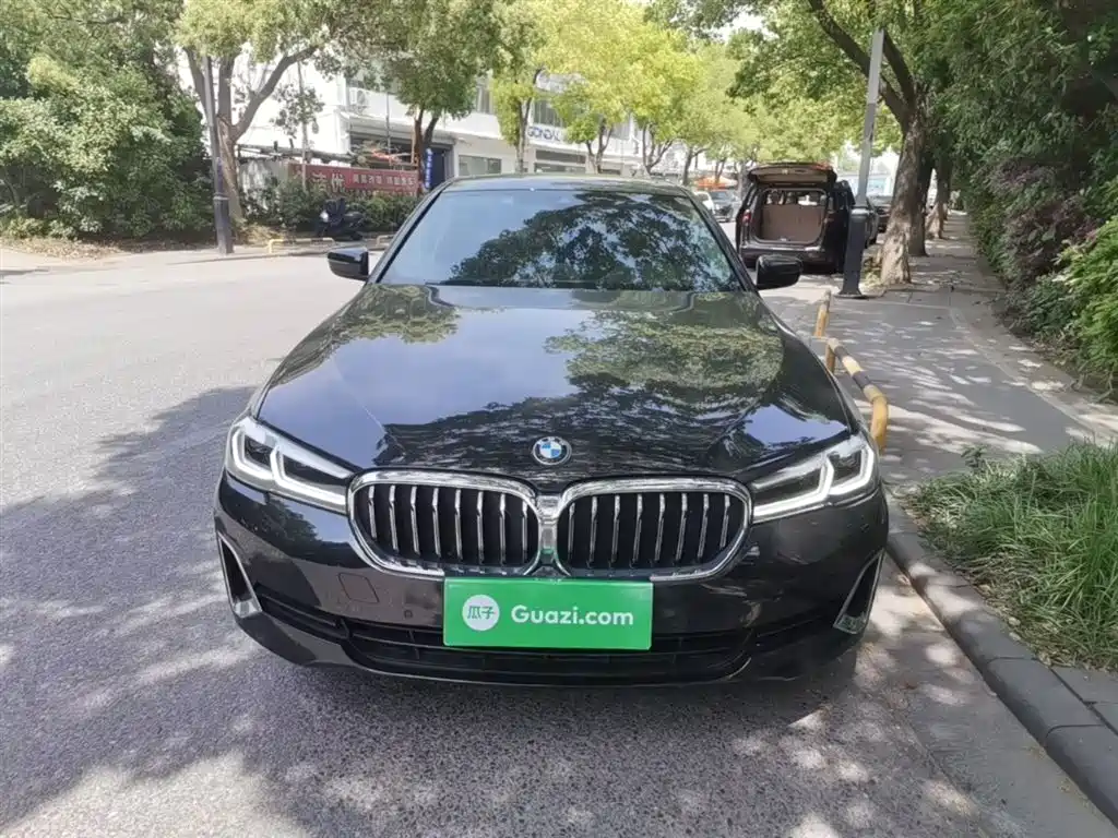 BMW 5 Series 2021 530Li Leading Luxury Package фото 3