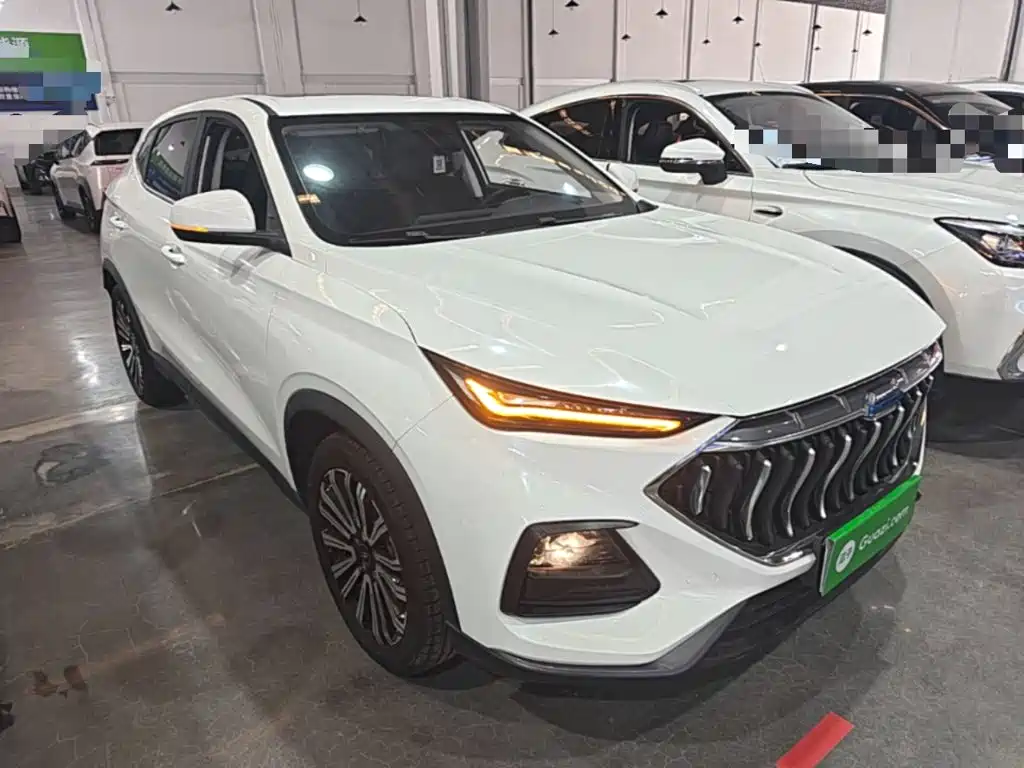 Changan Oshan Changan Oushang X5 2021 2021 1.5T DCT Luxury