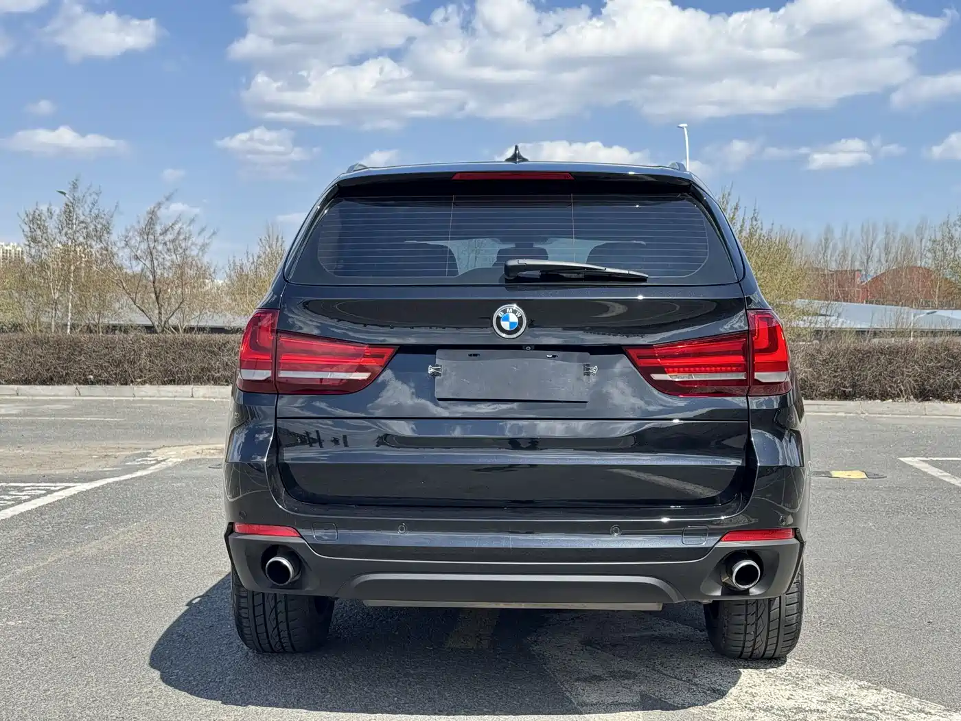 BMW X5 (Import) 2014 xDrive35i Luxury фото 8