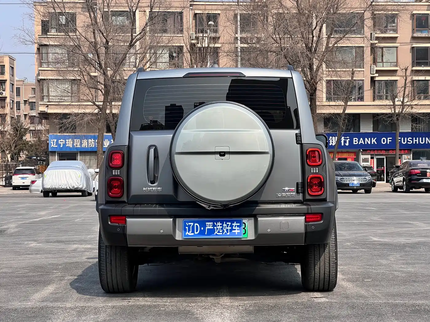 Haval Meng Long NEV 2024 Hi4 145 Pro фото 5
