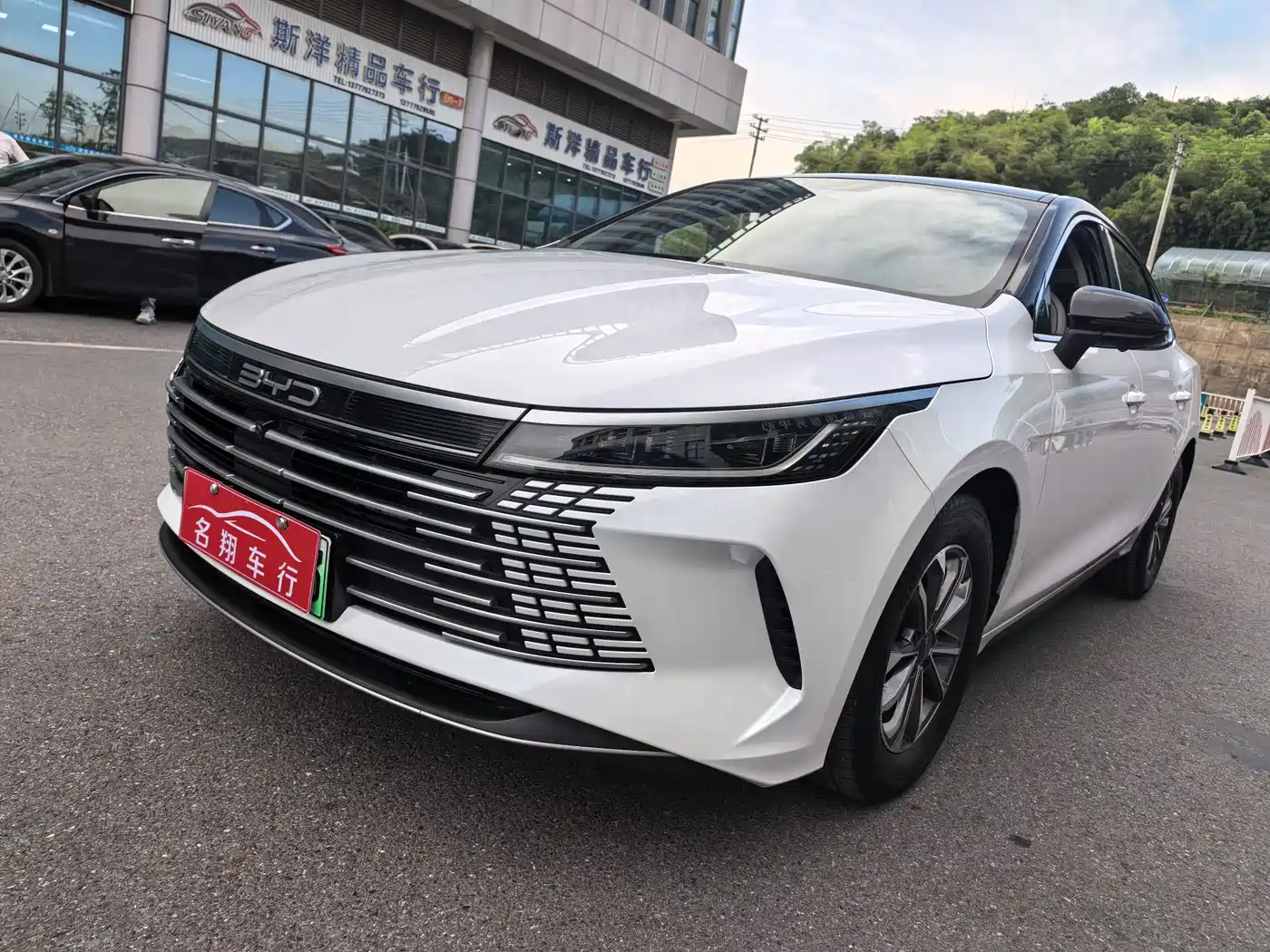 BYD Destroyer 05 2024 Glory Edition DM-i 55KM Luxury