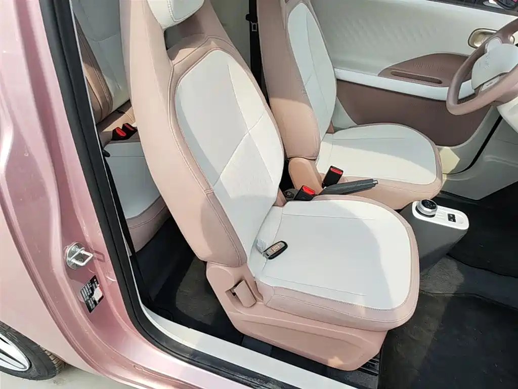 Geely Galaxy Panda 2025 Panda mini 210km Vitality Bear фото 25