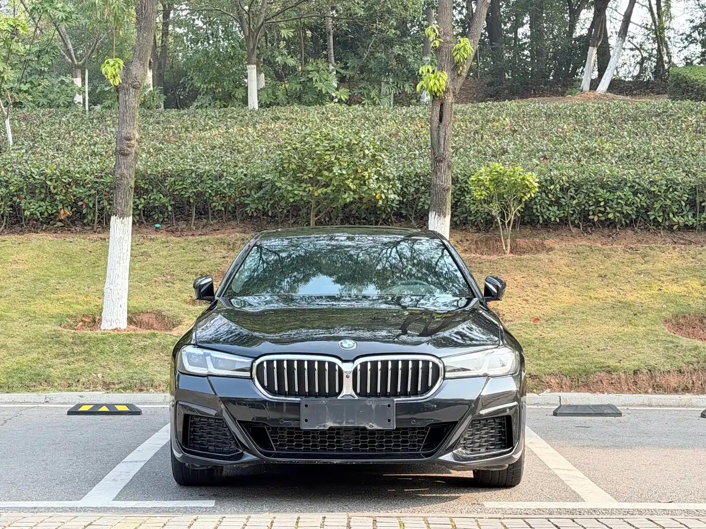 BMW 5 Series 2023 530Li Premium M Sport Package