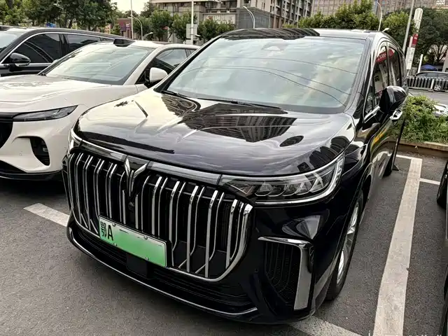 Voyah Auto Voyah Dreamer 2024