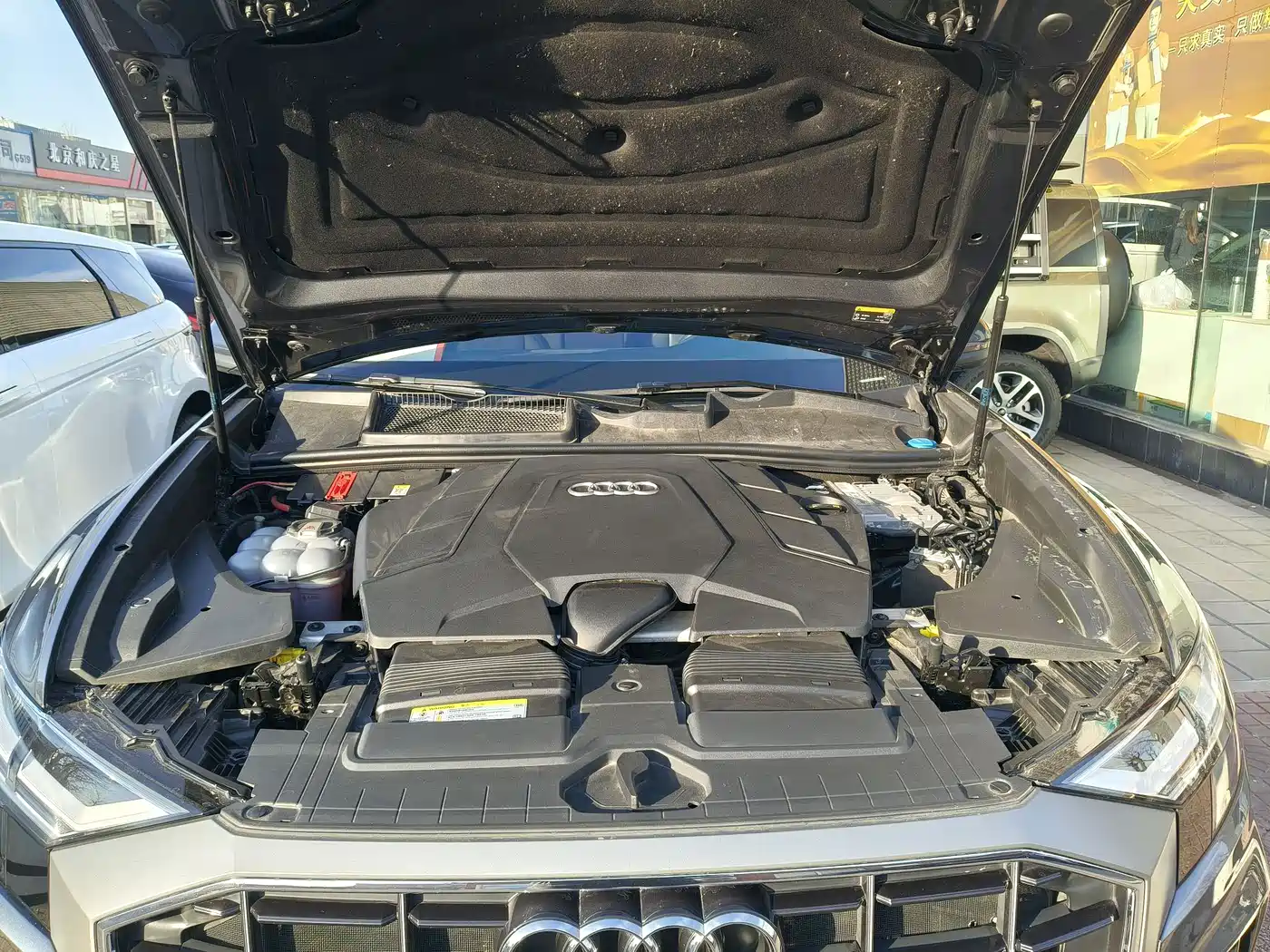 Audi Q8 2019 55 TFSI Luxury Dynamic фото 30