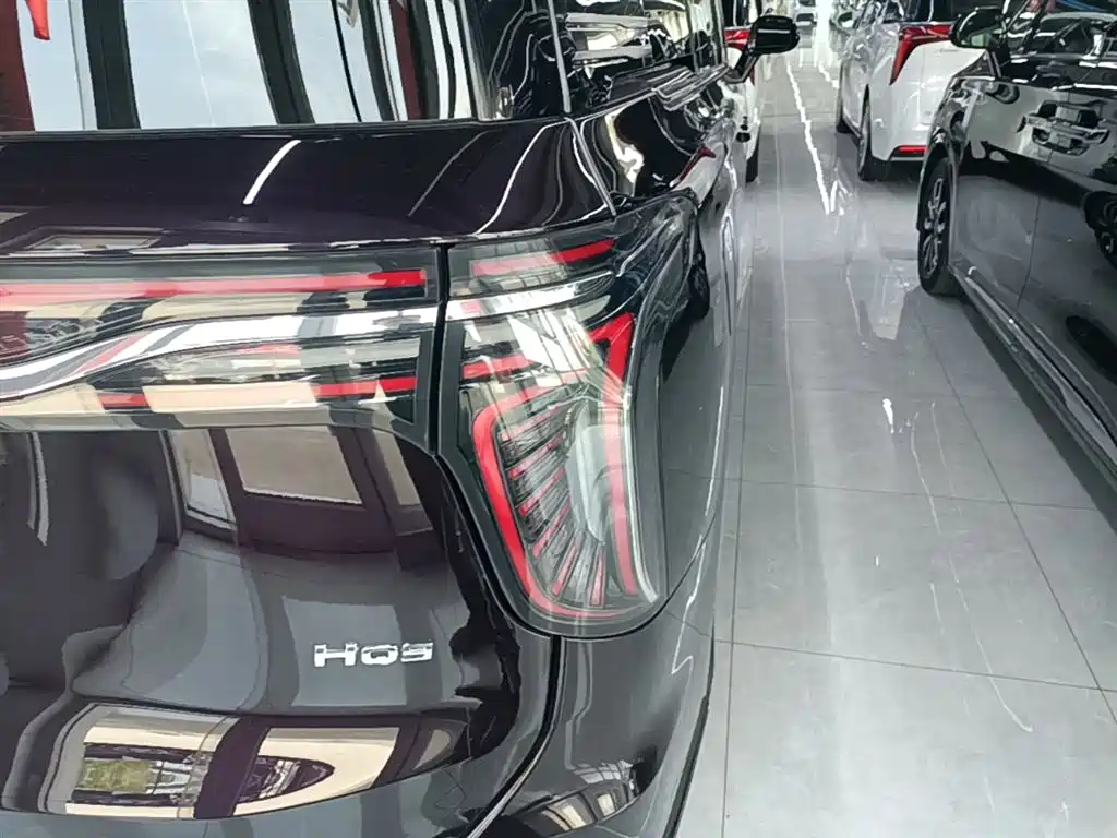 Hongqi HQ9 2023 2.0T Smart Connect Flag Enjoy Edition фото 8