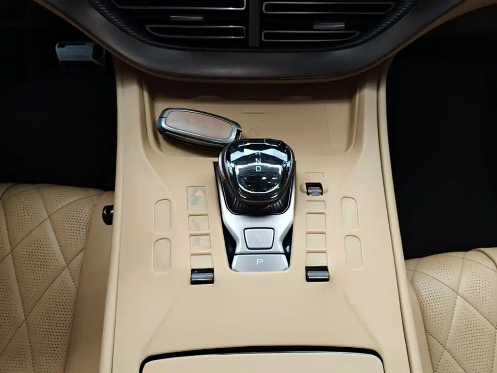 Denza D9 2022 DM-i 970 All-Wheel Drive Honor Edition фото 14