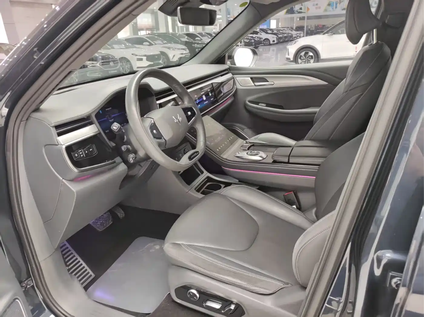 ARCFOX EXTREME FOX POLAR FOX ALPHA T