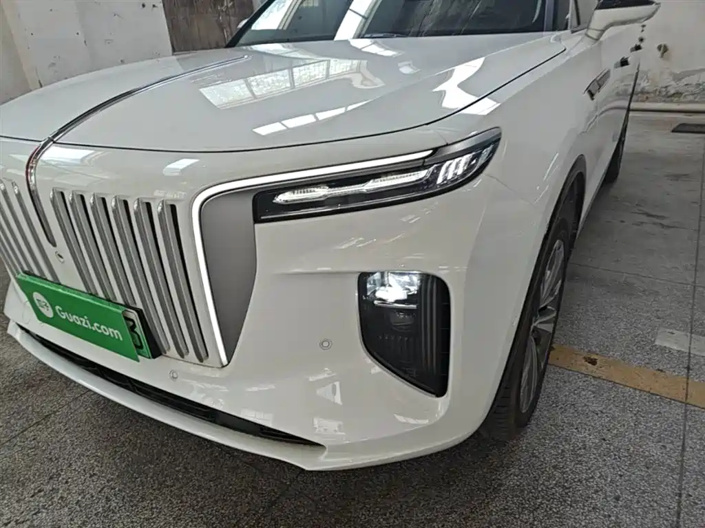 Hongqi E-HS9 2022 660km Qi Chang Edition (6-seater) фото 24
