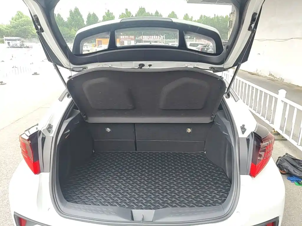 Toyota C-HR 2023 2021 2.0L Luxury Edition