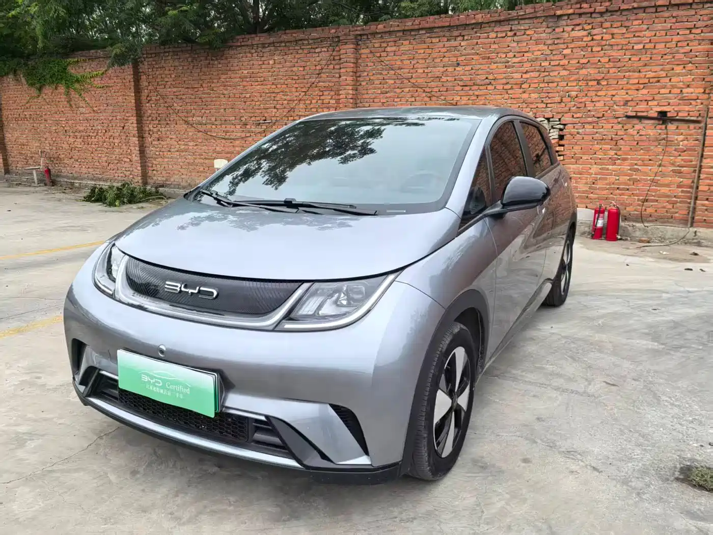 BYD Dolphin 2023 420km Freedom Edition