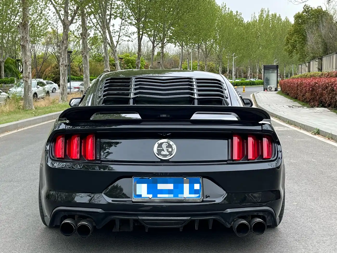 Ford Mustang 2015 2.3T Performance Edition фото 5