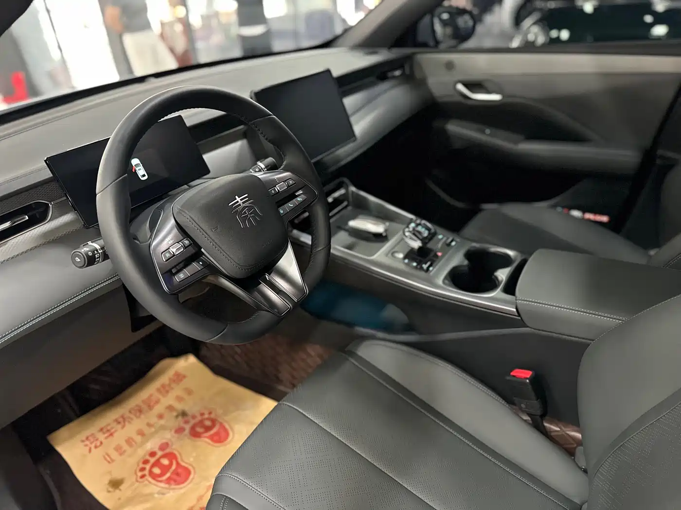 BYD Qin PLUS 2025 DM-i Smart Drive 55KM Leader фото 7