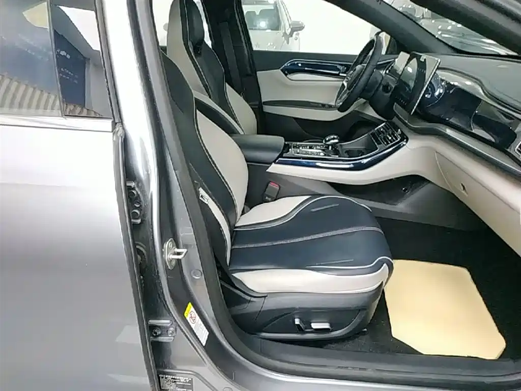 BYD Qin PLUS 2023 Champion Edition DM-i 120KM Excellence фото 25