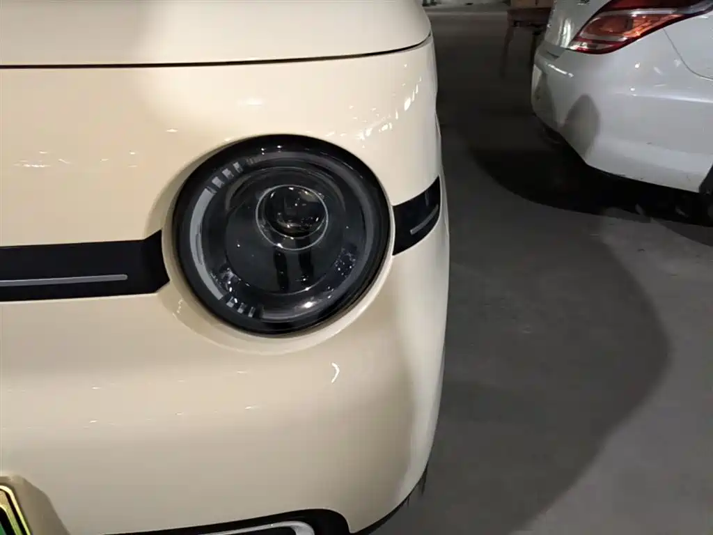 Geely Galaxy Panda 2025 Panda mini 210km Vitality Bear фото 24