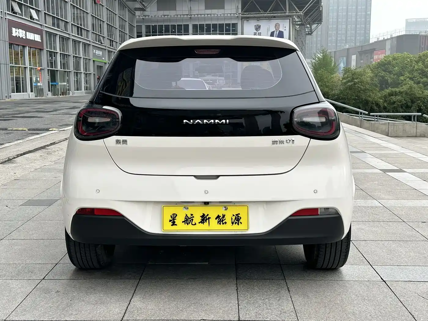 DONGFENG NANO 01