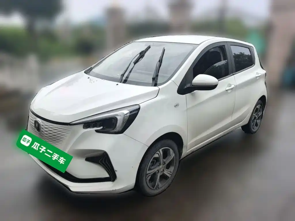 Changan Benben E-Star 2021 2020 Heartbeat Edition (NMC Battery)