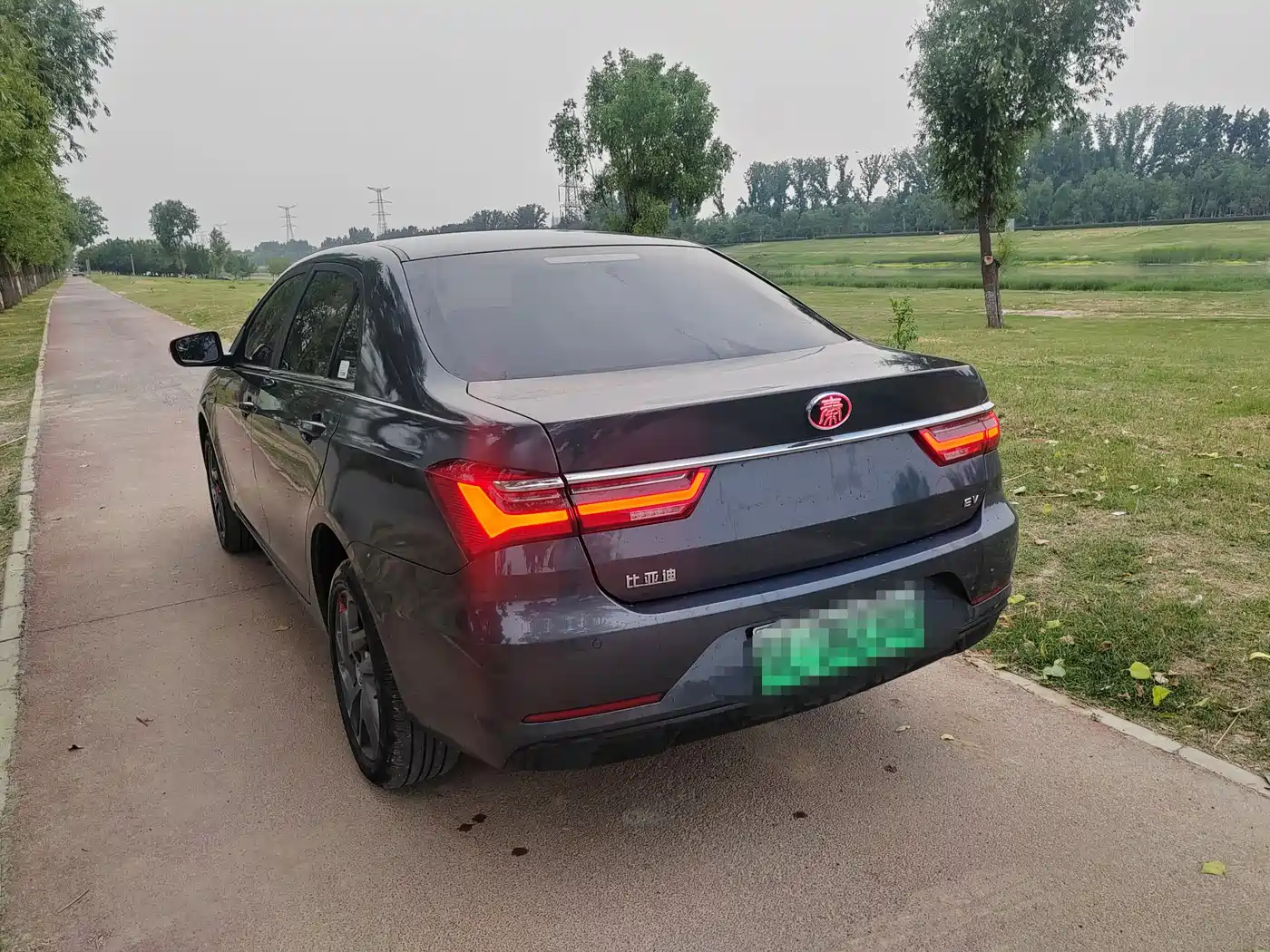 BYD Qin New Energy 2019 Long Range Edition Premium фото 4