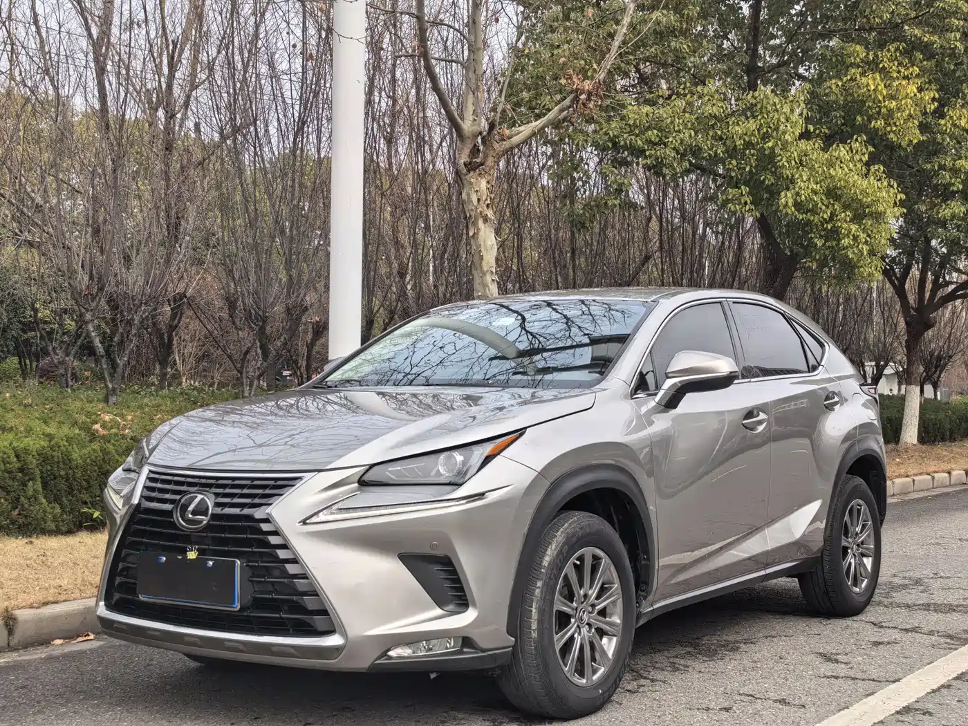 Lexus NX 2020 200 FWD Sharp Edition China VI