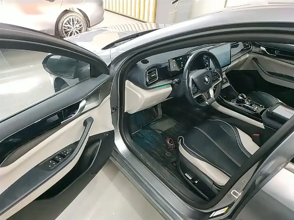 BYD Qin PLUS 2023 Champion Edition DM-i 120KM Excellence фото 16