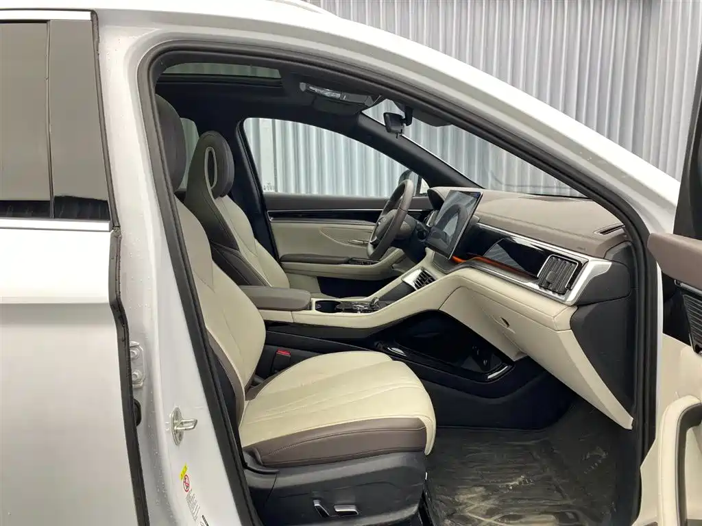 BYD SONGJIANG NEW ENERGY