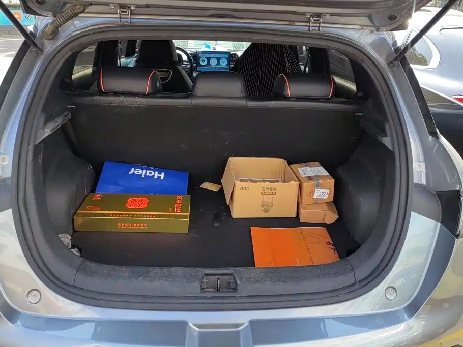 BYD Dolphin 2022 2021 405km Freedom Edition