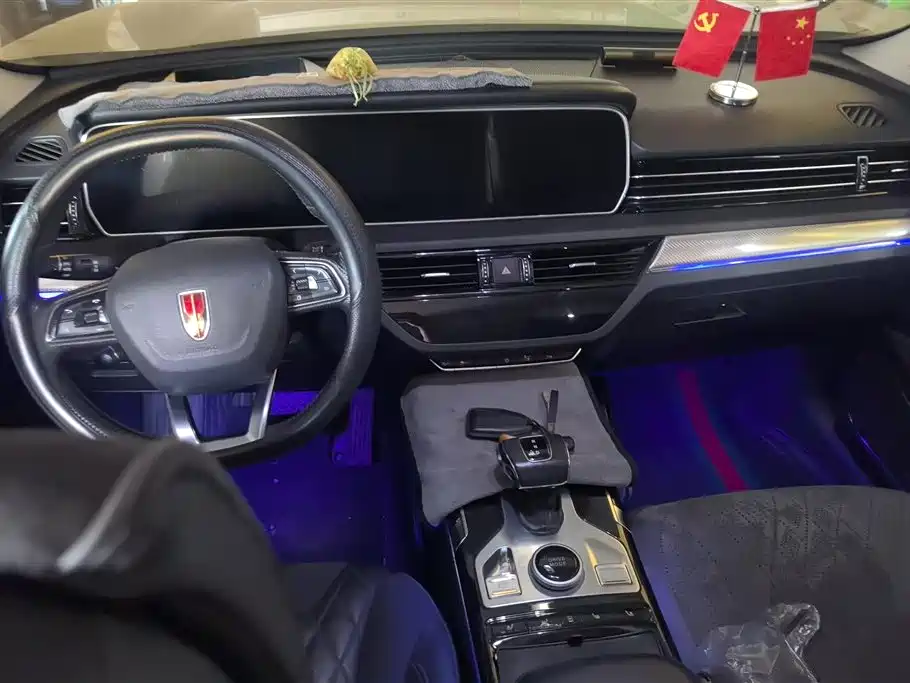 Hongqi HS5 2019 2.0T Smart Connect Enjoy 4WD Edition фото 12