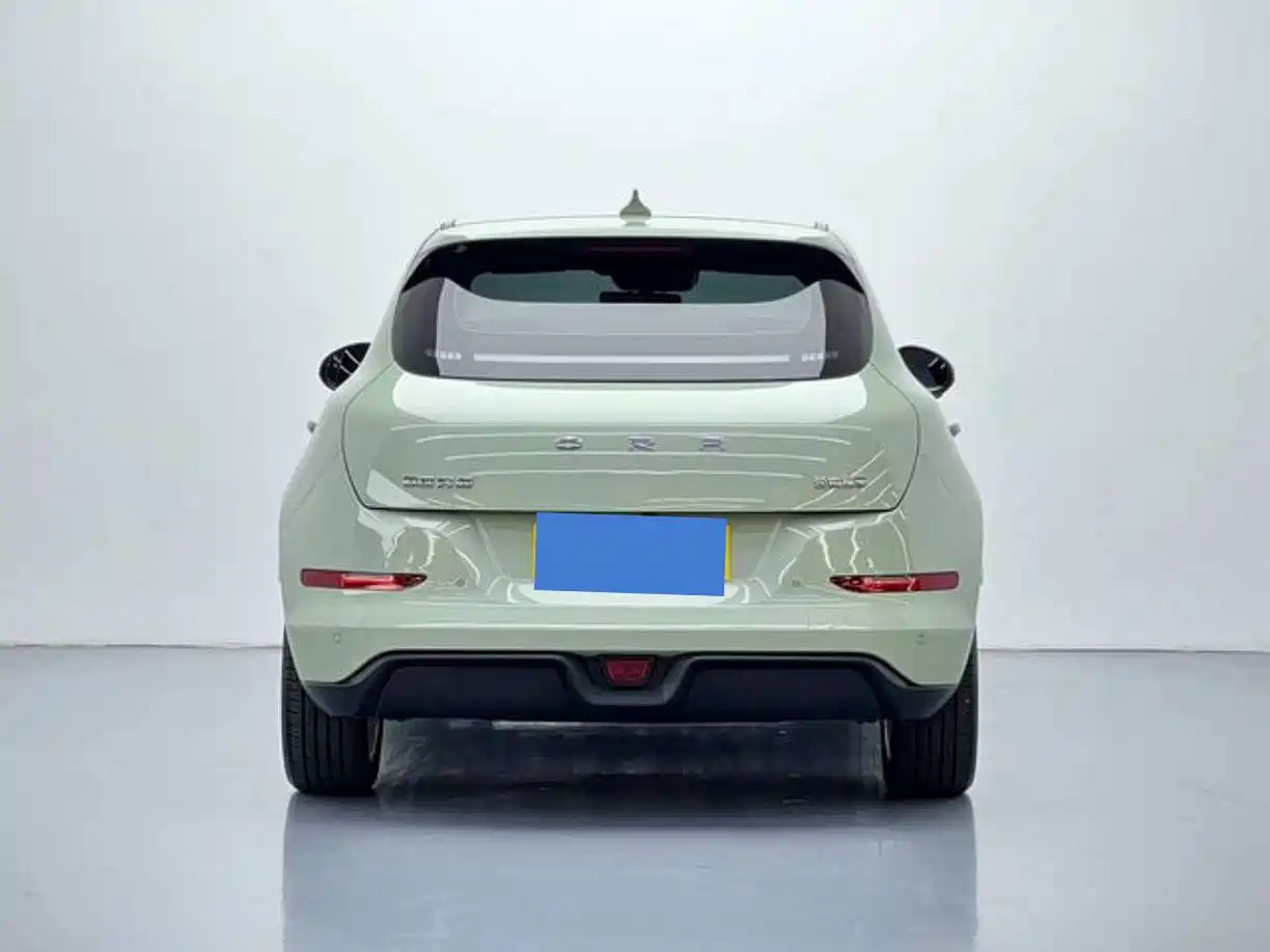 Ora Good Cat 2024 2023 401km Standard Range Luxury LFP