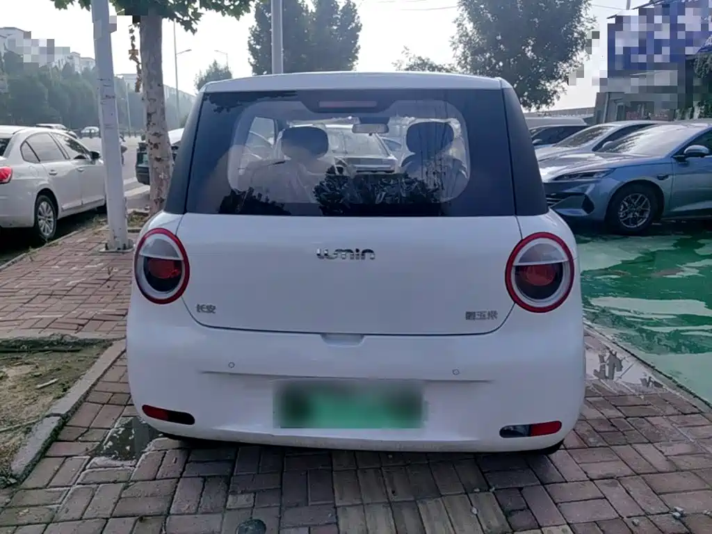 Changan Qiyuan Changan Lumin 2026 2026 Model 205km Treasure Edition