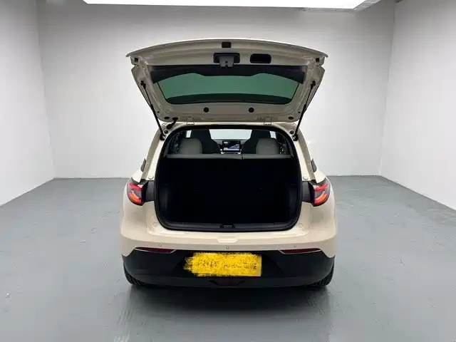 Geely Galaxy Starry Wish 2025 310km Youth Edition фото 8