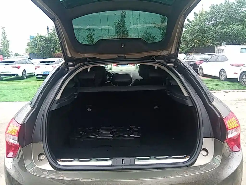 DS 5 2017 2015 1.8T Luxury THP200