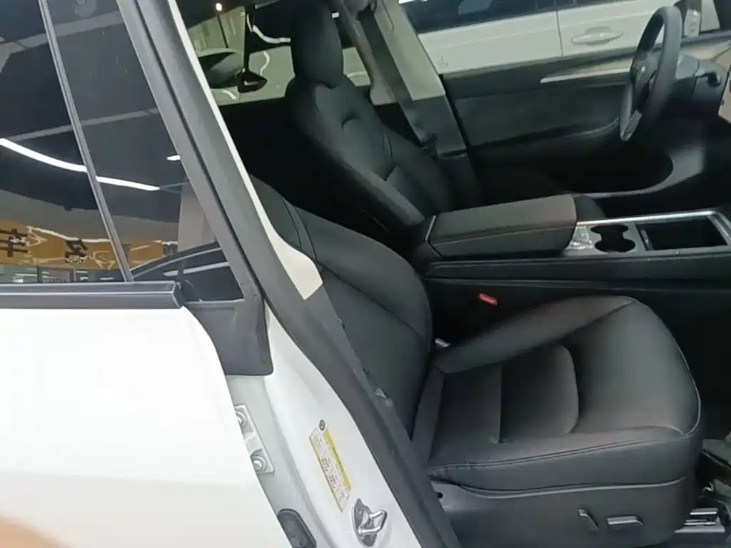 Tesla Model Y 2021 2021 Standard Range Rear-Wheel Drive