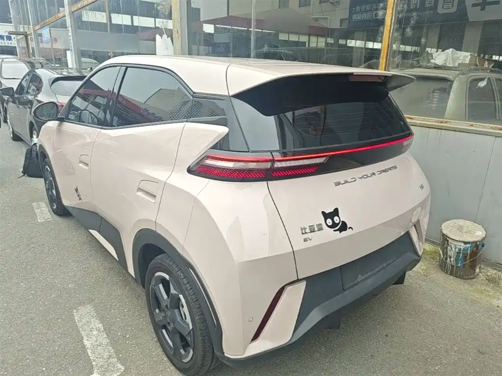 BYD Seagull 2024 Glory Edition 305km Freedom Edition фото 5