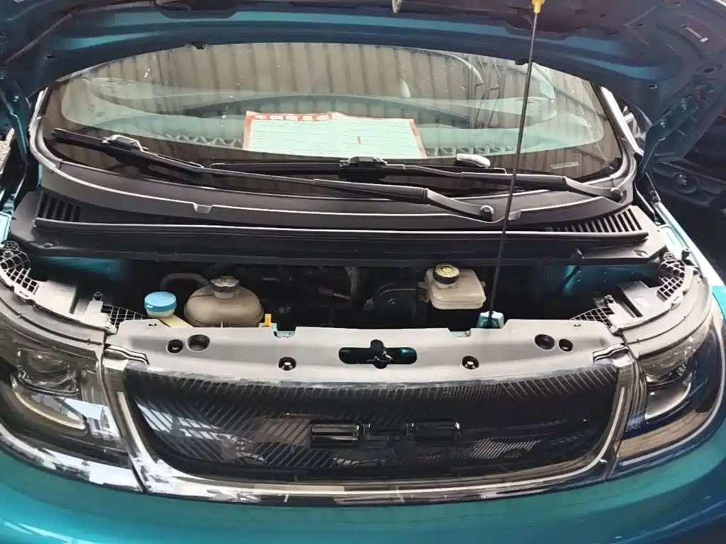 BYD Dolphin 2022 2021 Model 405km Fashion Edition