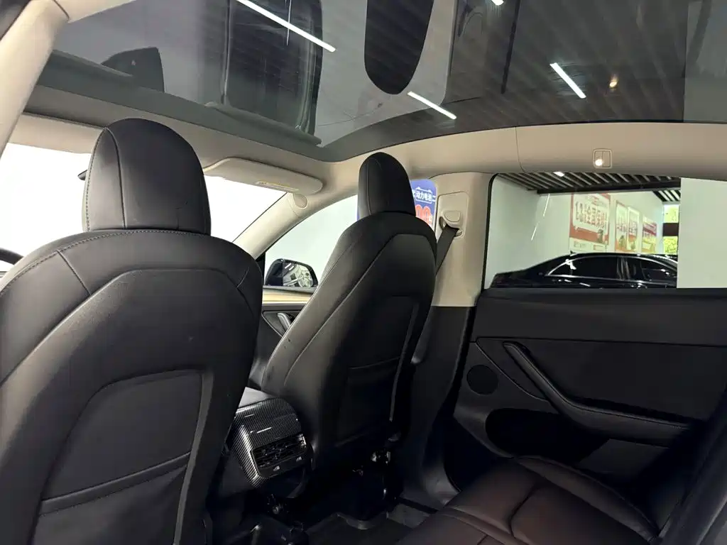 Tesla Model Y 2021 2021 Standard Range Rear-Wheel Drive