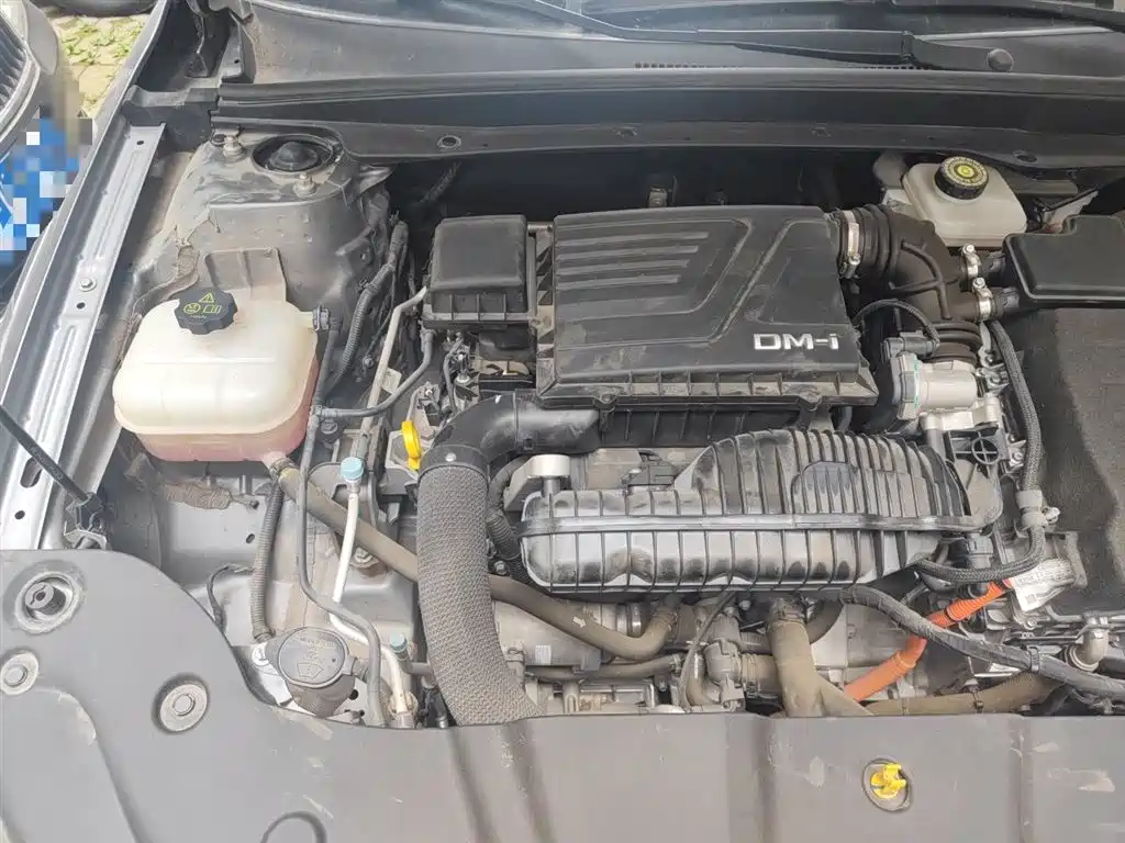 BYD Qin PLUS 2024 Glory Edition DM-i 55KM Leading фото 22