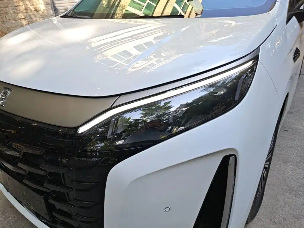 BYD Xia 2025 2025 DM-i 1.5T 180km Excellence