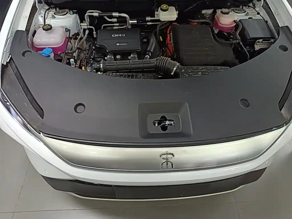 BYD Song Pro New Energy 2025 2nd Generation Smart Drive Edition DM-i 75KM Surpassing Type фото 20