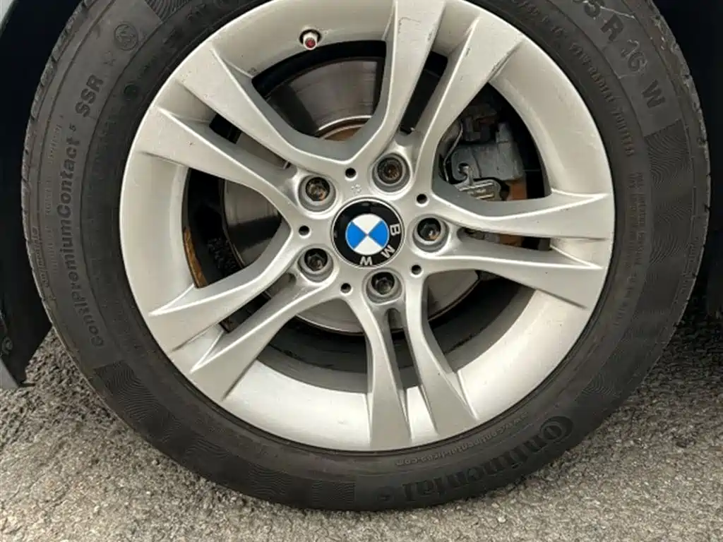 BMW 3 Series (Import) 2012 318i Leading фото 12