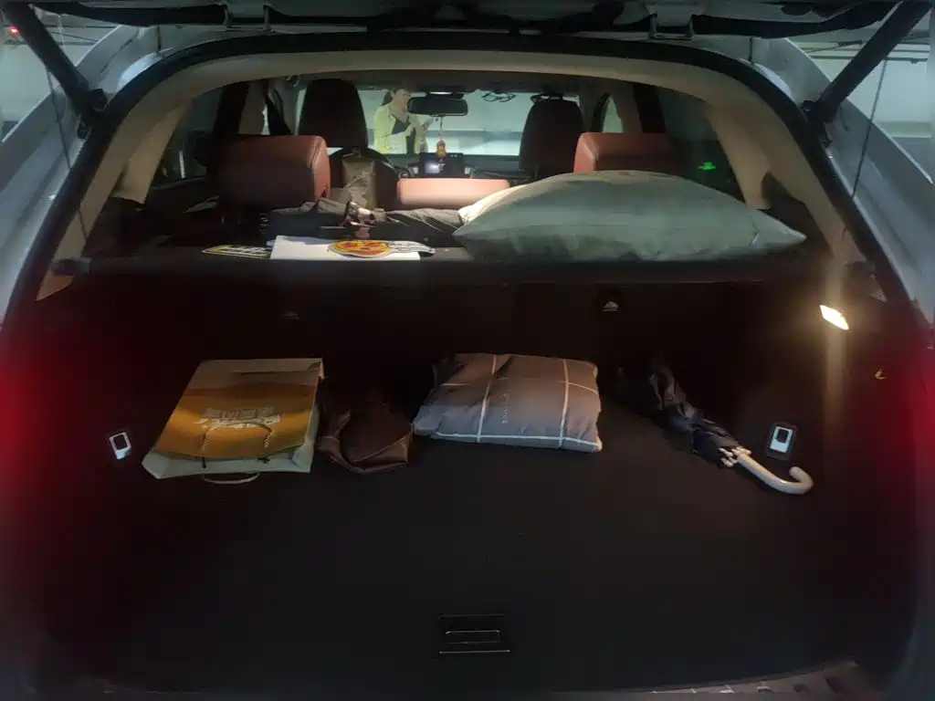 Lexus NX 2015 2015 300h AWD F SPORT