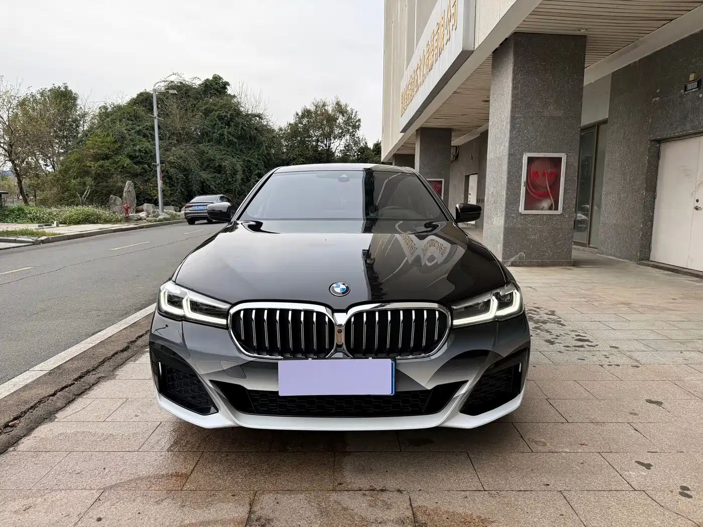 BMW 5 Series 2021 530Li Premium M Sport Package фото 2