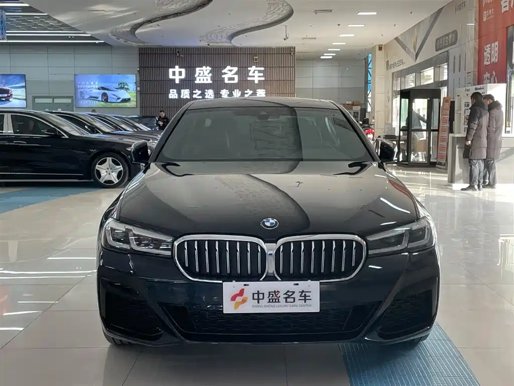BMW 5 SERIES