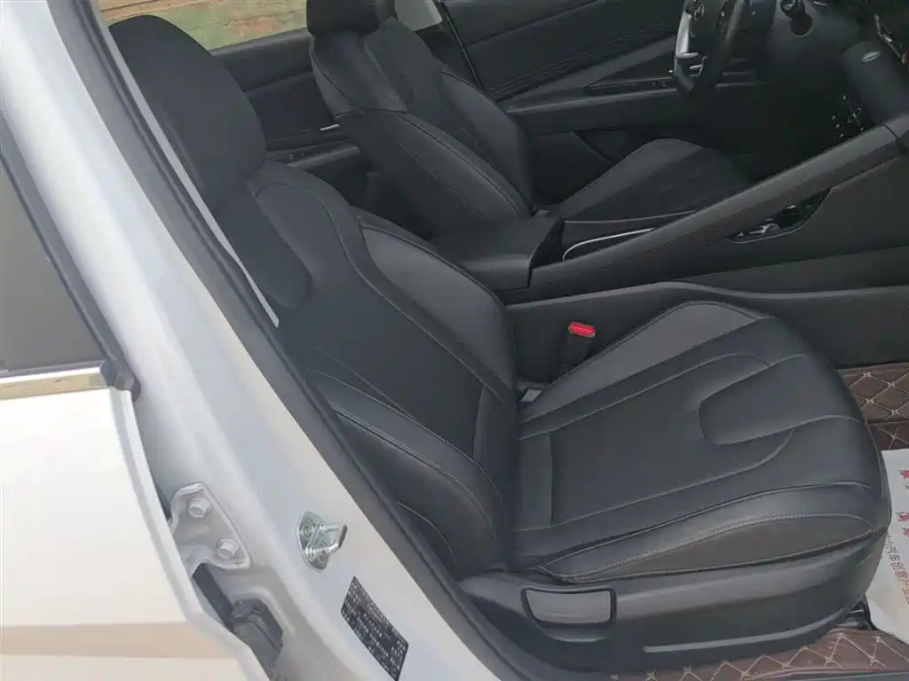 Hyundai Elantra 2021 1.5L CVT LUX Premium Edition фото 25