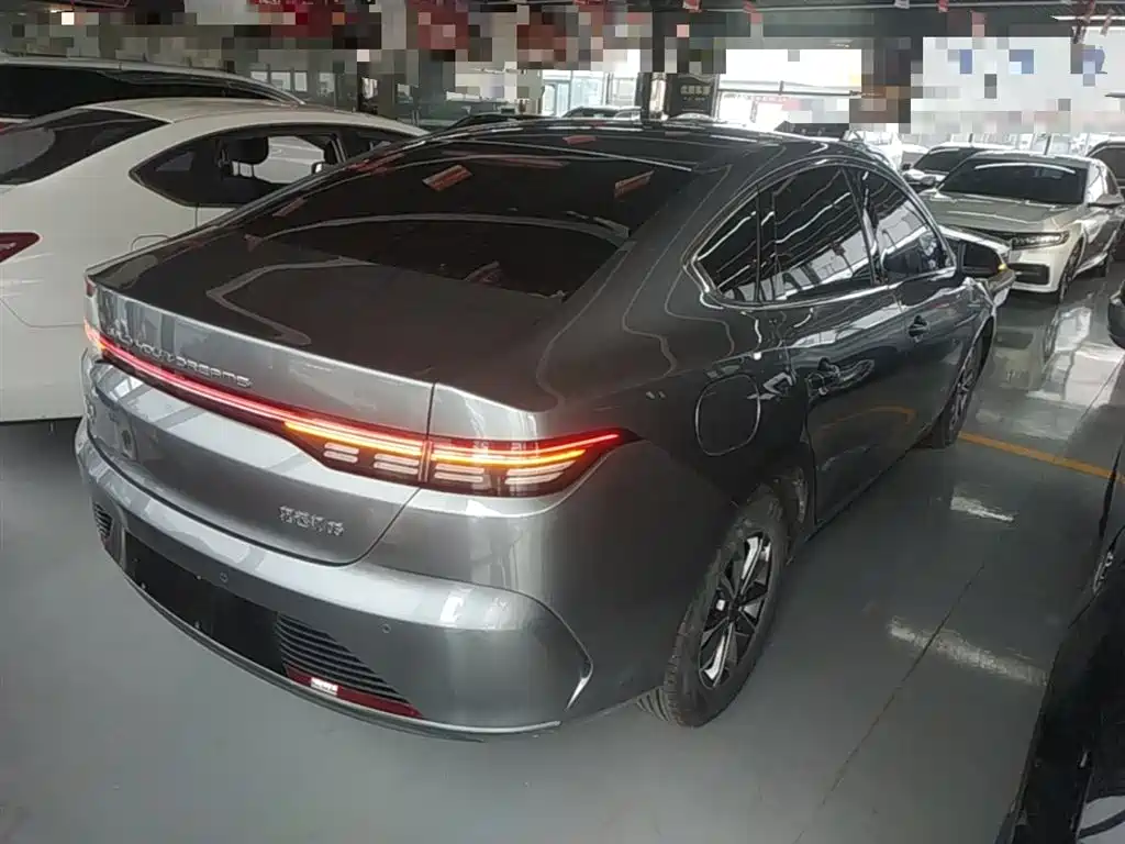 BYD Destroyer 05 2024 Glory Edition DM-i 55KM Luxury фото 7