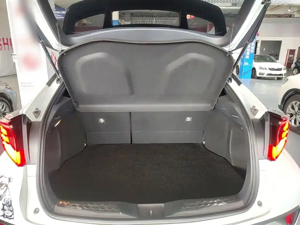 Toyota C-HR 2021 2021 2.0L Luxury Edition