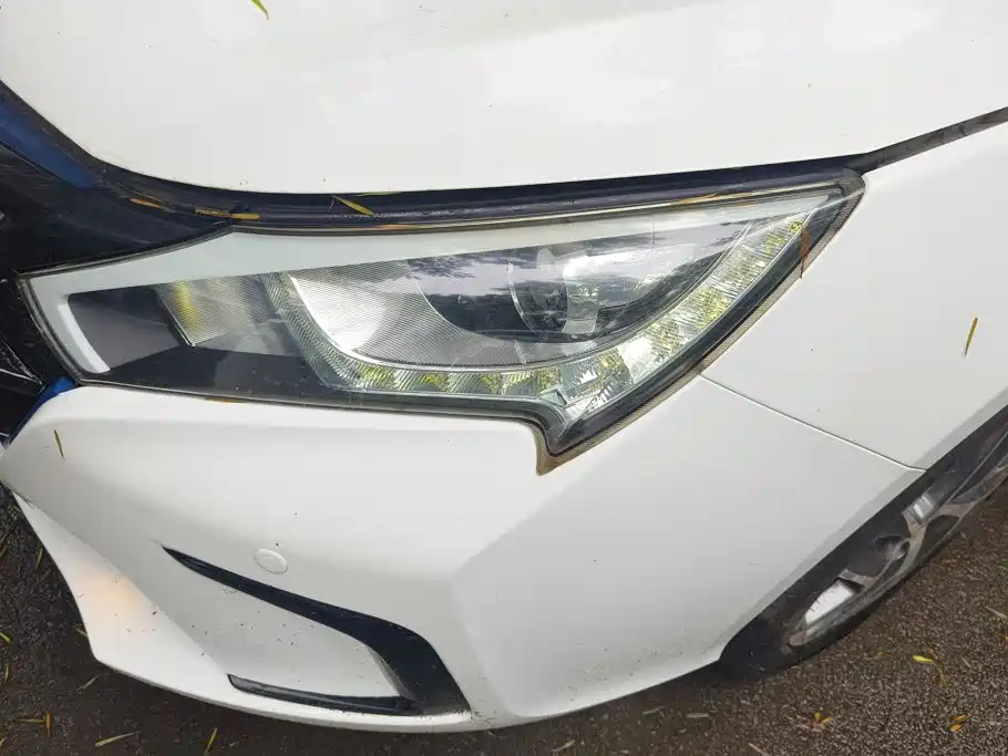 BYD Qin New Energy 2017 2017 Qin EV300 Flagship