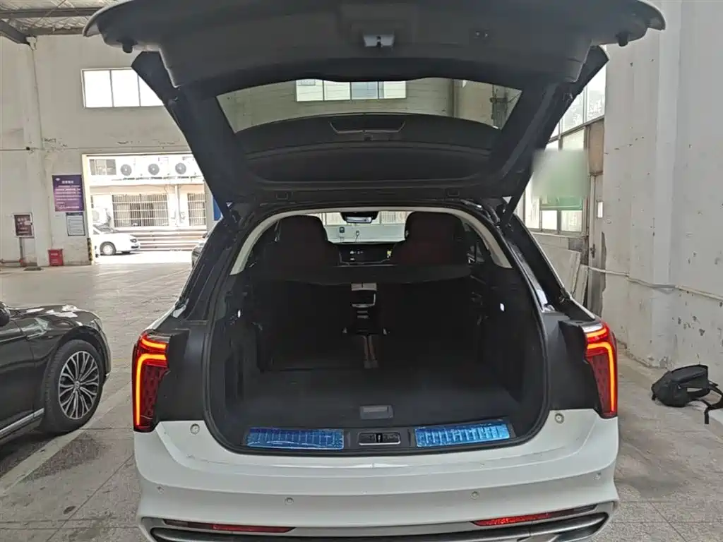 Hongqi E-HS9 2022 660km Qi Chang Edition (6-seater) фото 19