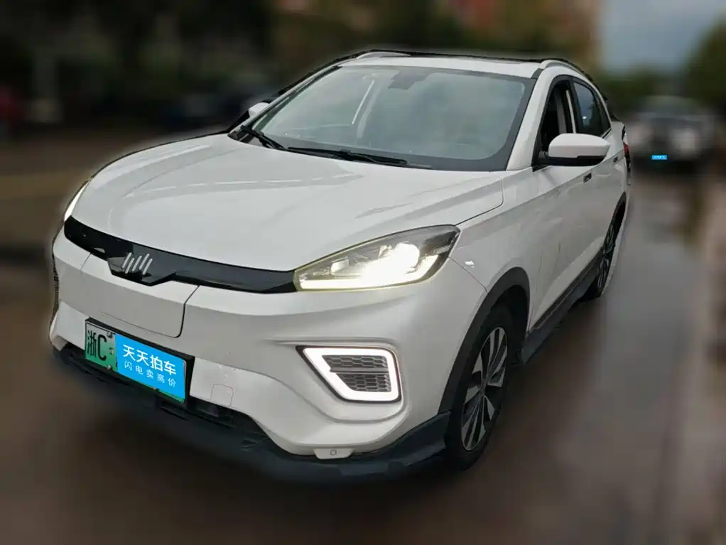 Weltmeister EX5 2020 2020 EX5-Z Fun Dynamic Edition